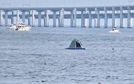 游客在海面搭建移动帐篷露营，大连海警：不违规，但需注意安全