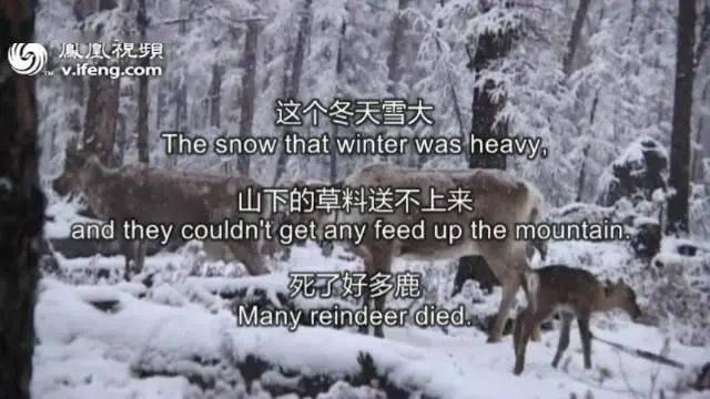 官方下场，他今年终于火了