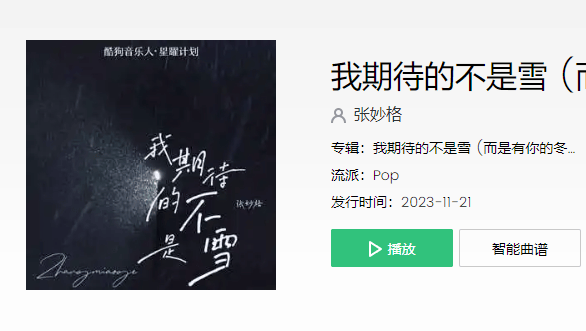 2024年最好听最火的歌曲