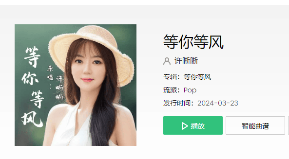 2024年最好听最火的歌曲