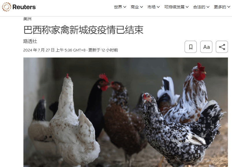 外媒称巴西将宣布新城疫疫情结束！禽肉将恢复输华？