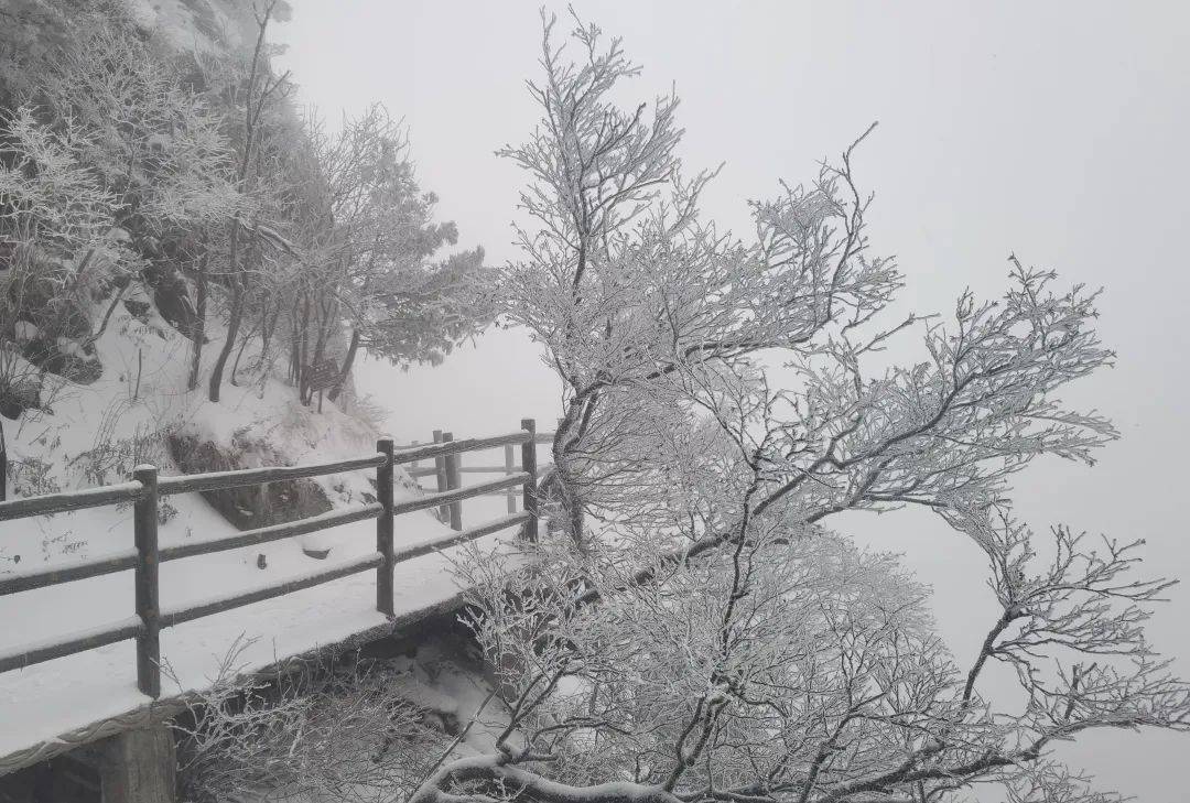 下了两天！最厚积雪30公分！明起，河南将迎晴朗天气！