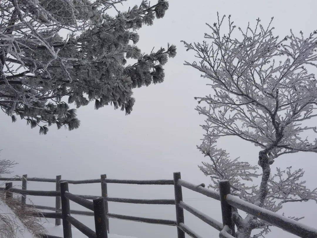 下了两天！最厚积雪30公分！明起，河南将迎晴朗天气！